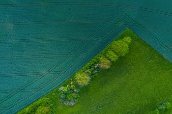  Landschaft bei Regensburg 