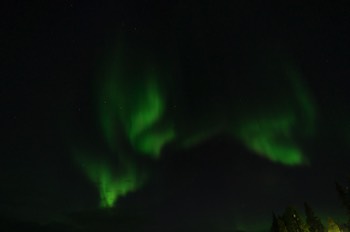  Aurora Borealis - Muonio, Lapplanf/Finnland 